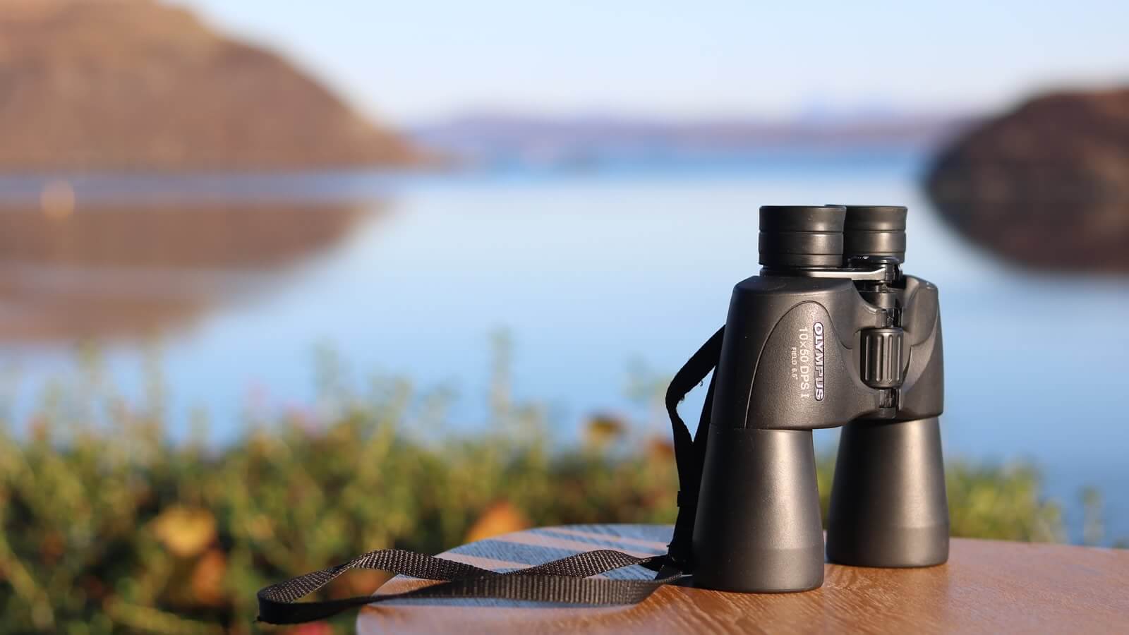 Air an Oir is perfect for birdwatching with sea eagles nesting a mile away